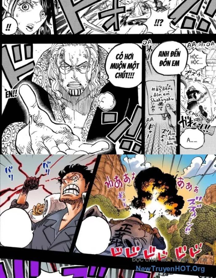 One Piece Chapter 1161.5 - Trang 2