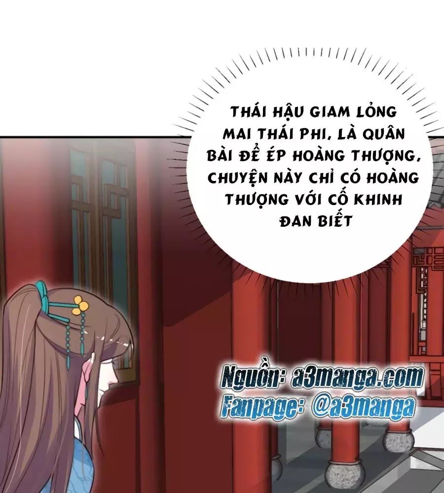 Cung Đấu Live Chapter 35 - Trang 2