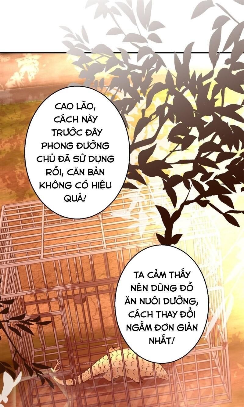 Cửu Dương Đế Tôn Chapter 154 - Trang 2