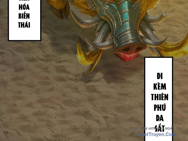 Sau Khi Đầu Thai, Ta Được Kẻ Thù Khắc Thành Vô Địch Chapter 27 - Trang 2
