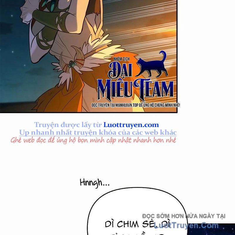 Healer Cấp S Chữa Trị Cho Quái Vật Chapter 17 - Trang 2
