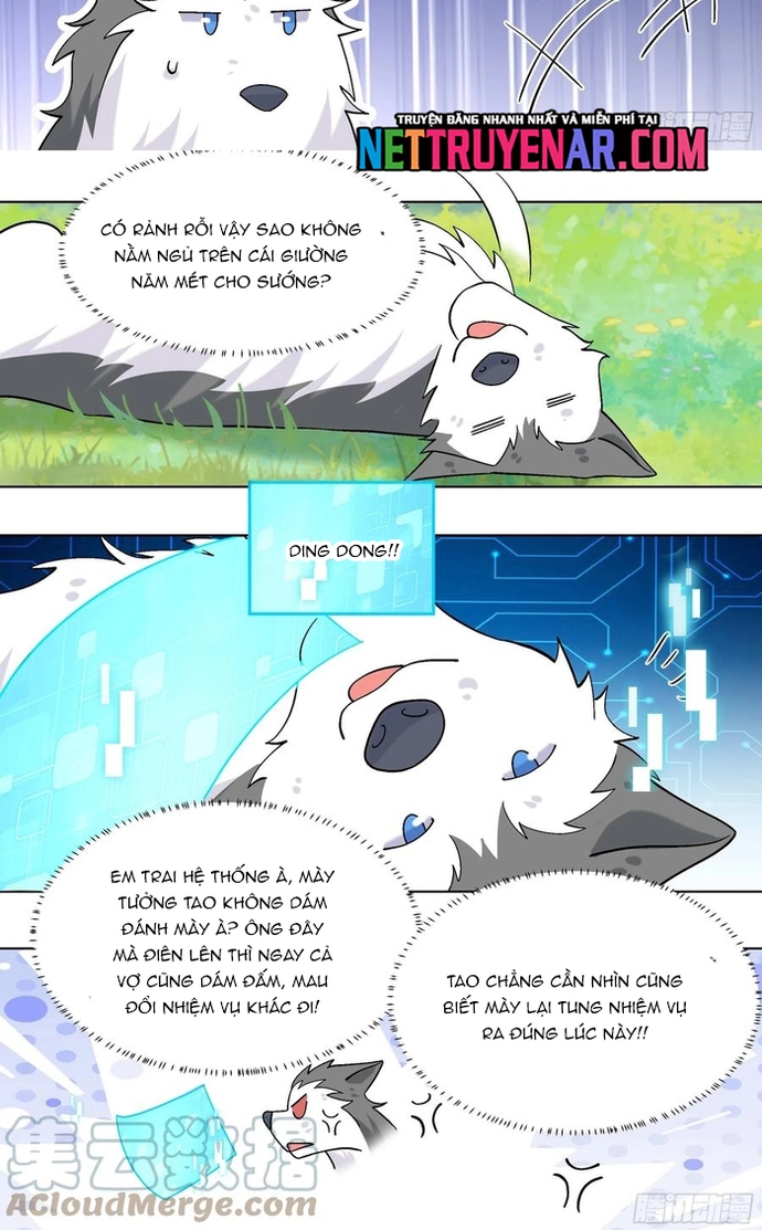 Trọng Sinh Thành Chó Của Nữ Thần Chapter 433 - Trang 2