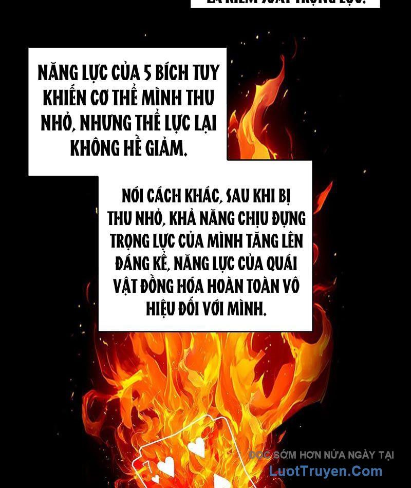 Vương Tạc Chapter 20 - Trang 2