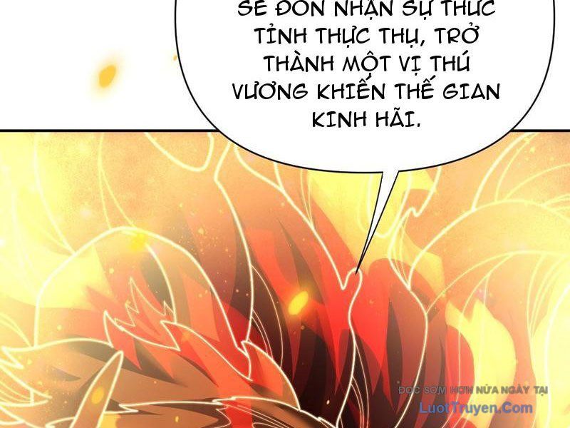 Bắt Đầu Chấn Kinh Nữ Đế Lão Bà, Ta Vô Địch! Chapter 97 - Trang 2