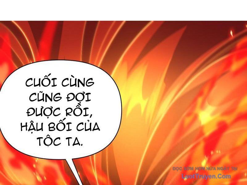 Bắt Đầu Chấn Kinh Nữ Đế Lão Bà, Ta Vô Địch! Chapter 97 - Trang 2