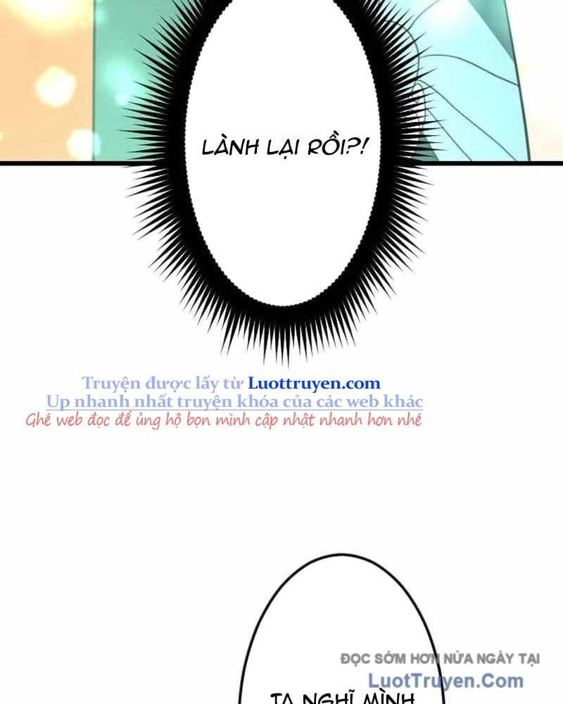 Vô Song Cùng Với Vũ Khí Ẩn Chapter 74 - Trang 2