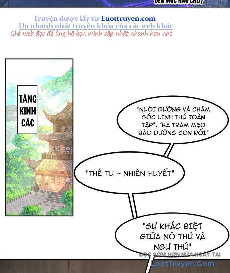 Sư Tỷ, Ta Không Muốn Cố Gắng! Chapter 15 - Trang 2