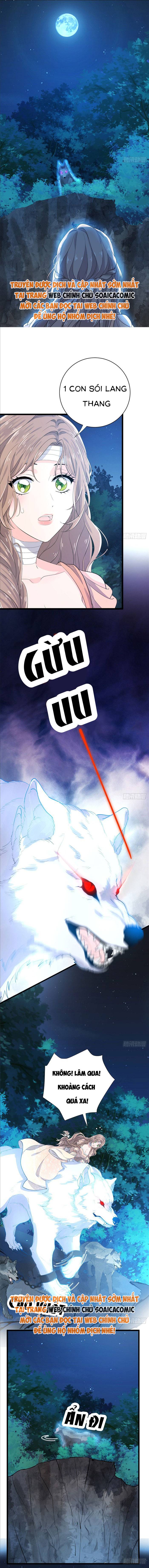 Xuyên Đến Dị Giới Toàn Trai Đẹp Chapter 21 - Trang 2