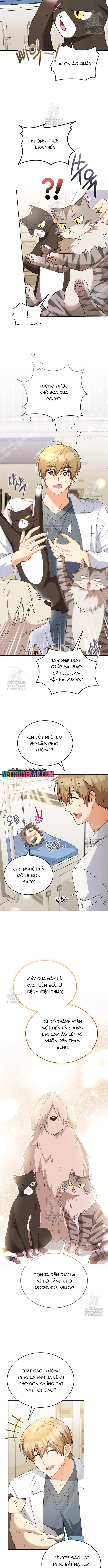 Xin Chào! Bác Sĩ Thú Y Chapter 100 - Trang 2