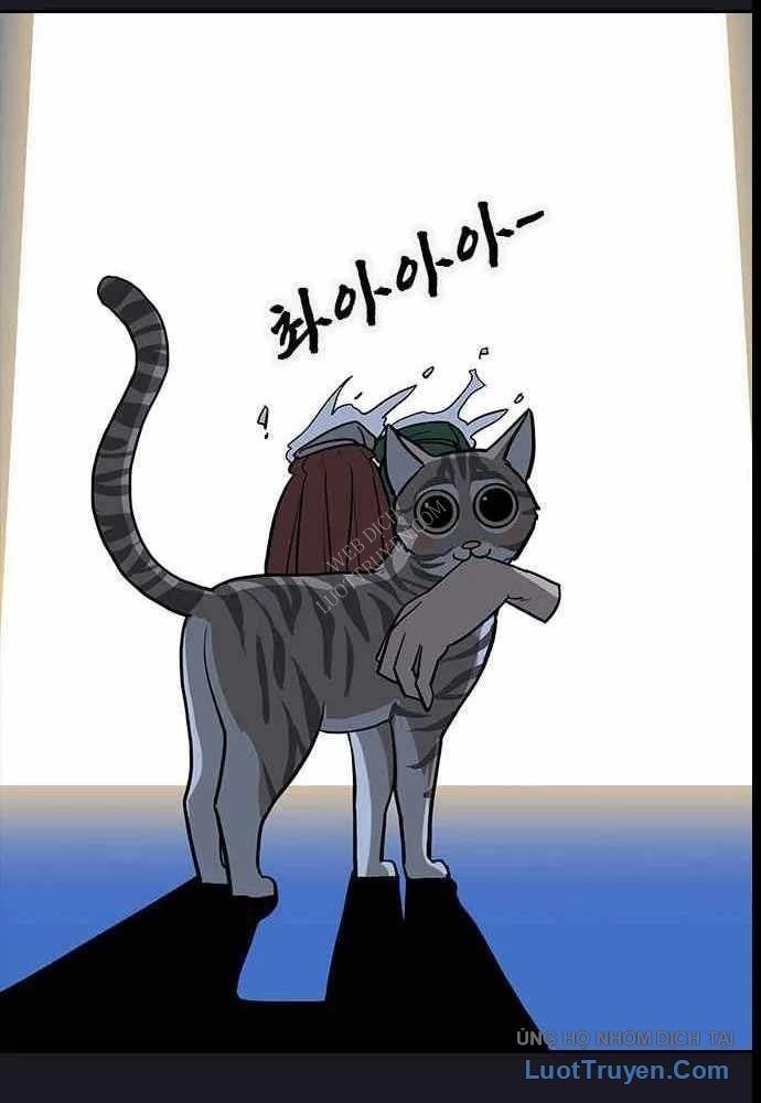 Thần Chết Bậc Thầy Của Âm Giới Chapter 12 - Trang 2
