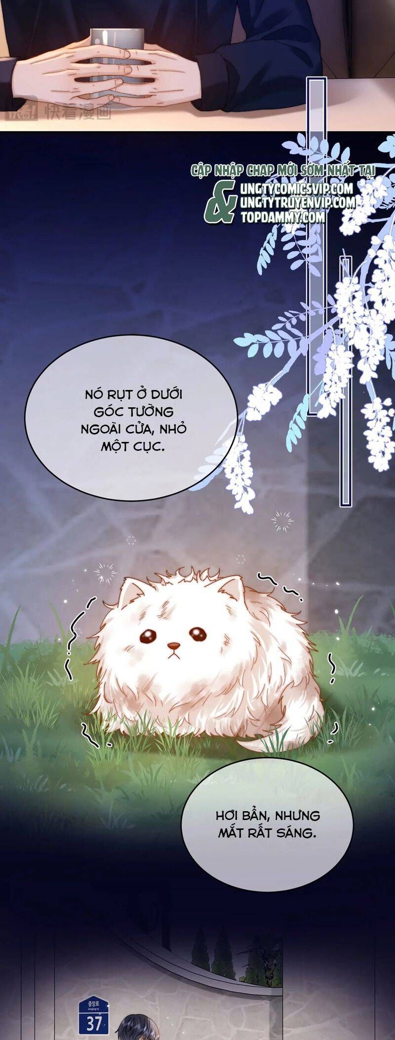 Chất Dị Ứng Đáng Yêu Chapter 52.7 - Trang 2