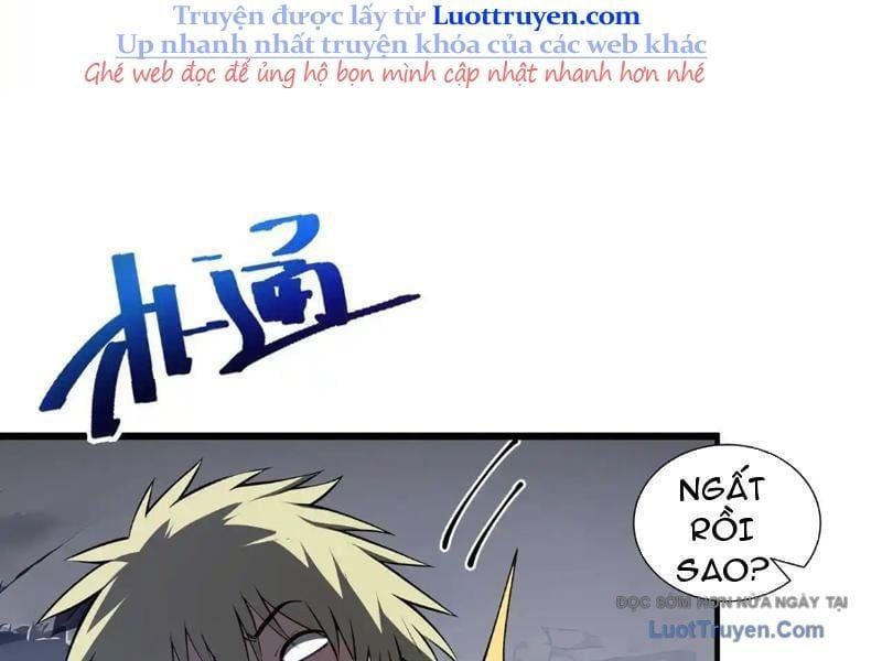Tai Ách Giáng Lâm: Ta Tiến Hóa Thành Tinh Hồng Đế Vương Chapter 17 - Trang 2