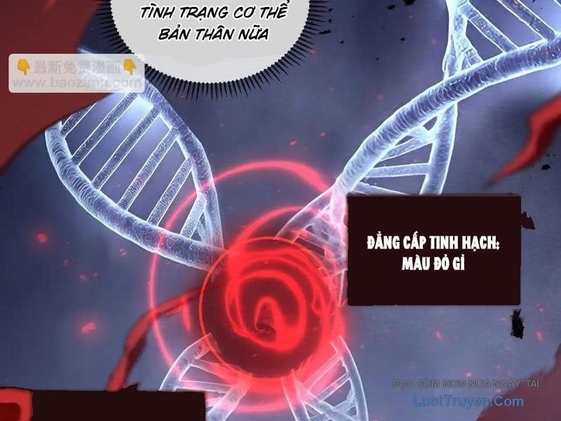 Tai Ách Giáng Lâm: Ta Tiến Hóa Thành Tinh Hồng Đế Vương Chapter 17 - Trang 2
