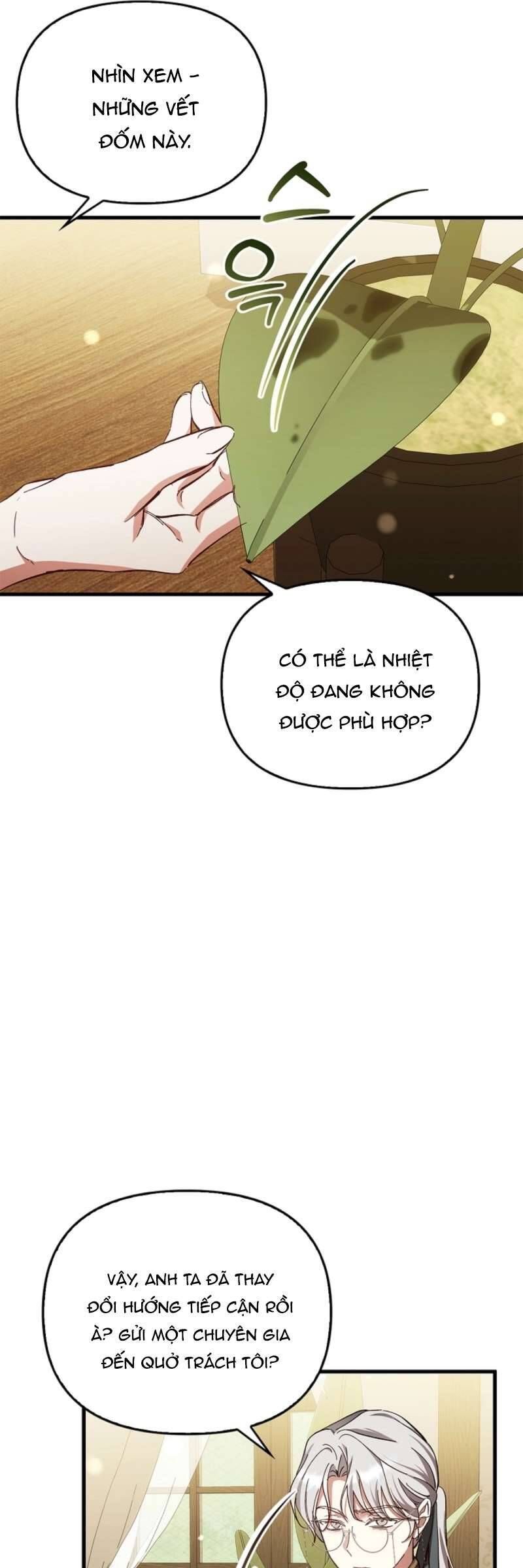 Nữ Bá Tước Bỏ Trốn Đã Quay Trở Lại Chapter 17 - Trang 2