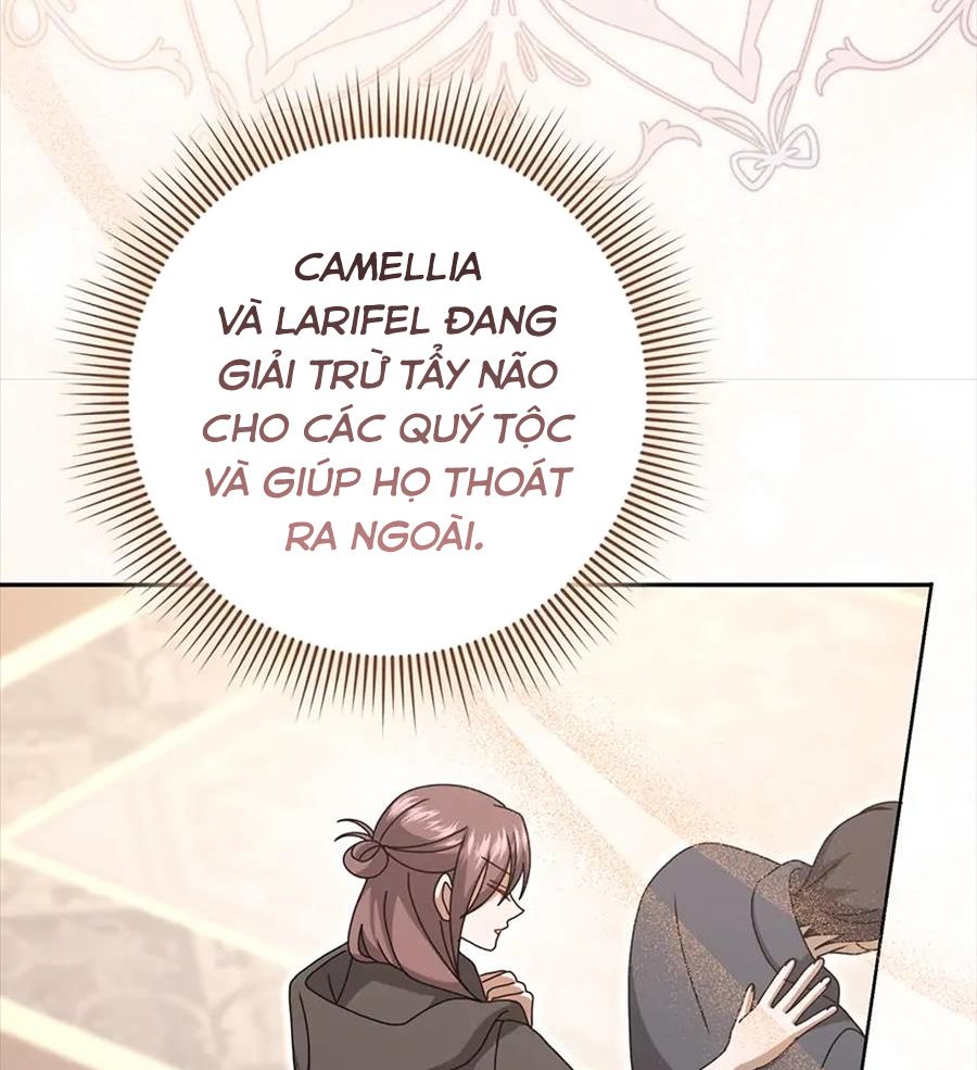 Lọ Lem Đã Mất Tích Chapter 71 - Trang 2