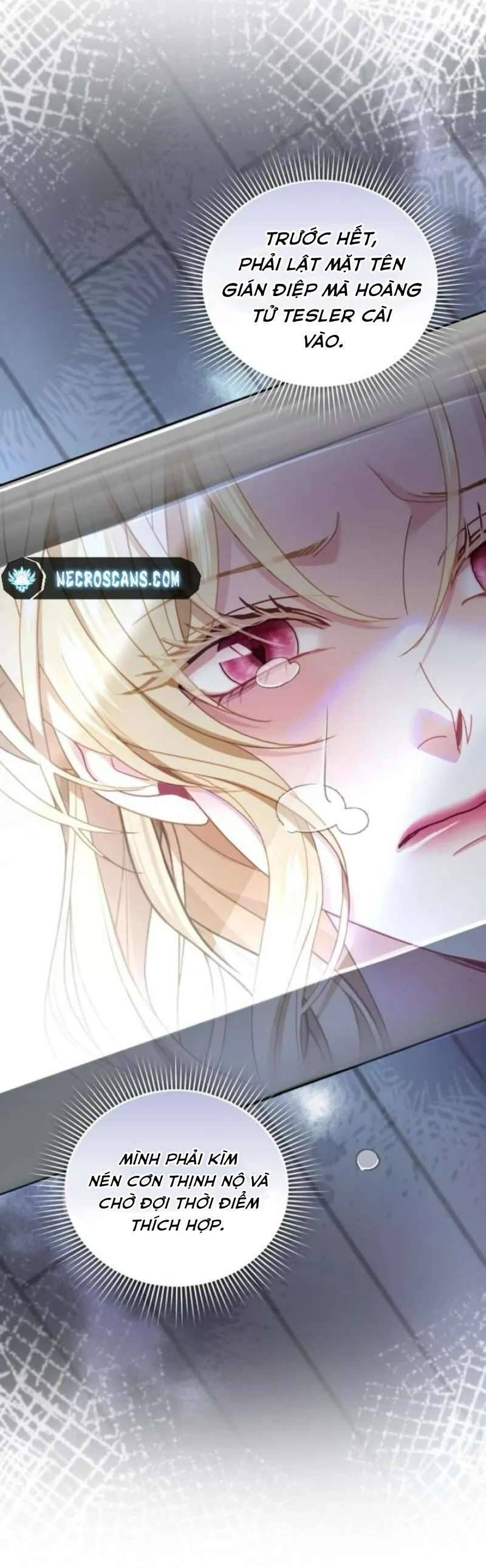 Tuy Là Hoàng Hậu Thay Thế Nhưng Tôi Lại Đánh Mất Đêm Đầu Tiên Chapter 24 - Trang 2