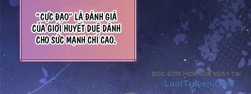 Hóa Ra Ta Là Đời Sau Của Yêu Quái Chapter 46 - Trang 2