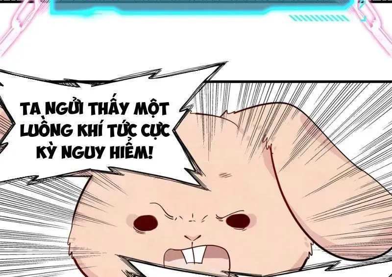 Xuyên Không Thành Ma Tôn Pháo Hôi? Nhưng Ta Là Streamer Công Lược Chapter 16 - Trang 2