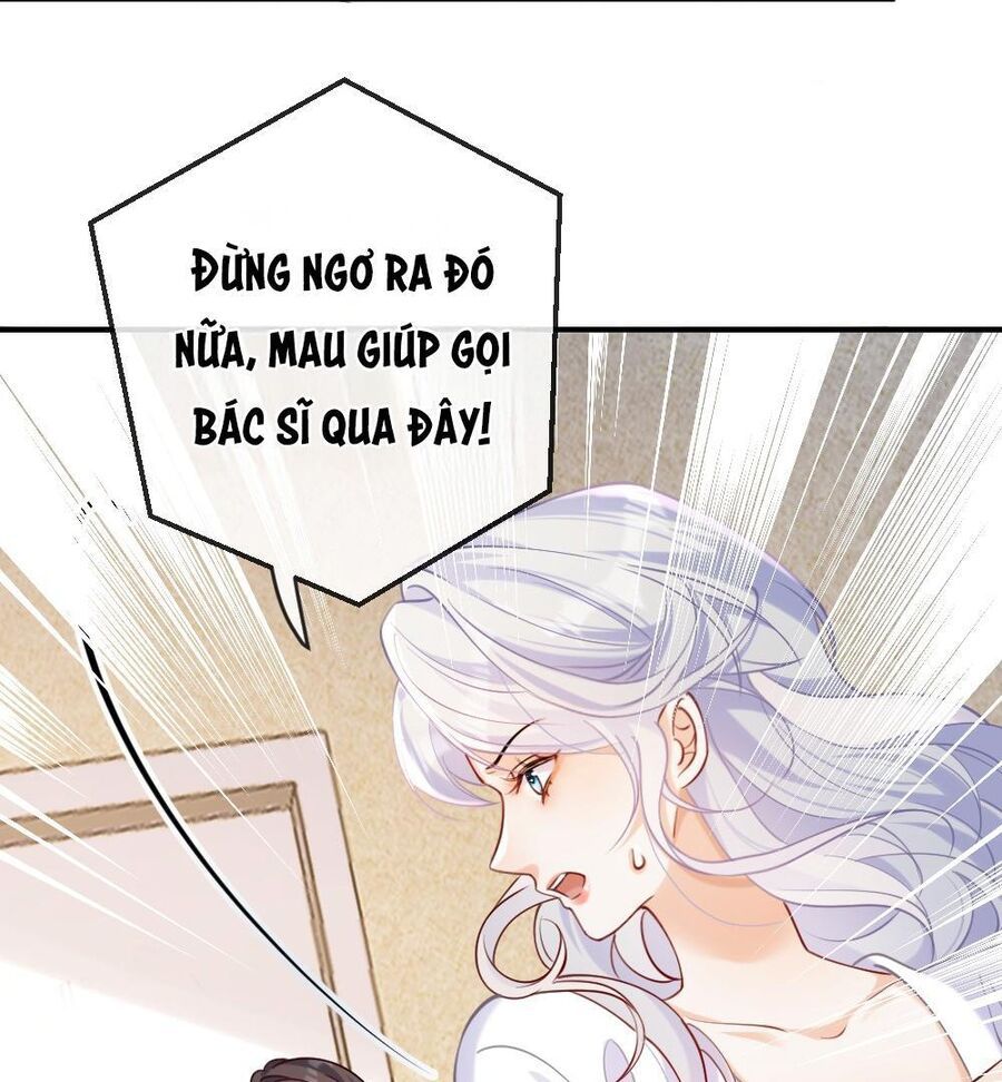 Nữ Chính Hắc Nguyệt Quang Luôn Muốn Đánh Dấu Tôi Chapter 2 - Trang 2