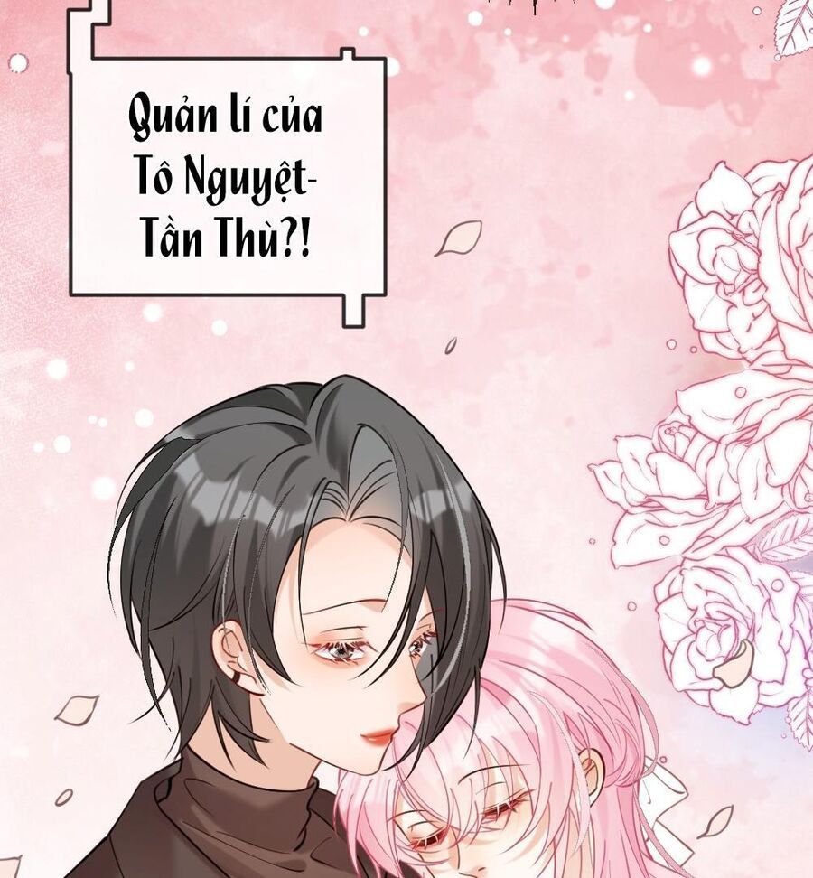 Nữ Chính Hắc Nguyệt Quang Luôn Muốn Đánh Dấu Tôi Chapter 2 - Trang 2