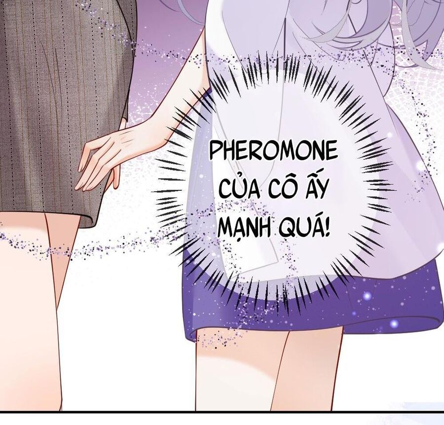 Nữ Chính Hắc Nguyệt Quang Luôn Muốn Đánh Dấu Tôi Chapter 2 - Trang 2