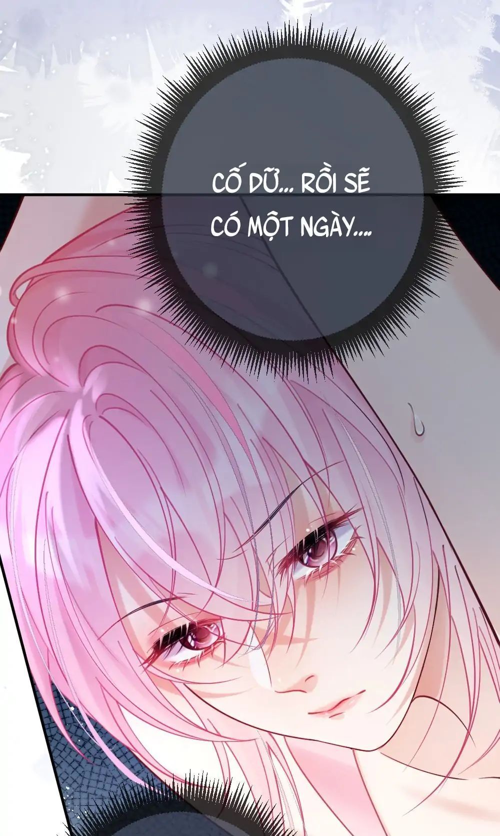 Nữ Chính Hắc Nguyệt Quang Luôn Muốn Đánh Dấu Tôi Chapter 3 - Trang 2