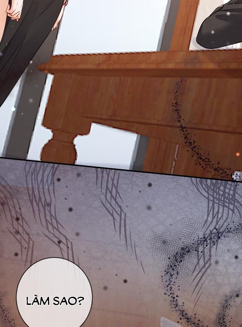 Nữ Chính Hắc Nguyệt Quang Luôn Muốn Đánh Dấu Tôi Chapter 4 - Trang 2