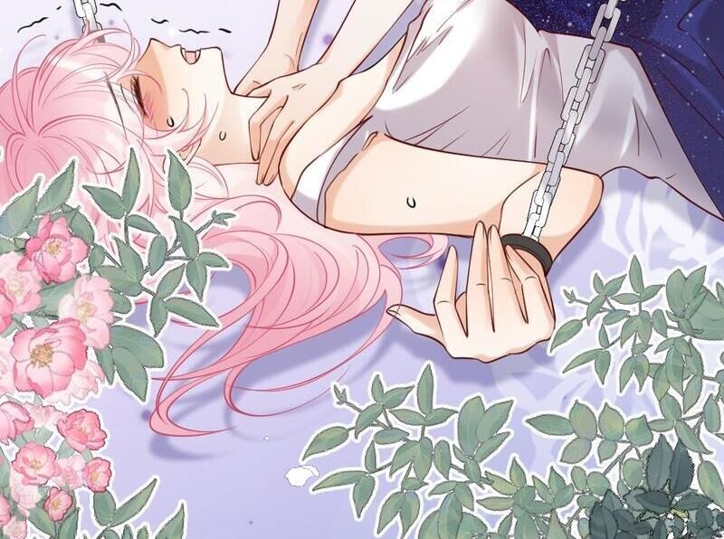 Nữ Chính Hắc Nguyệt Quang Luôn Muốn Đánh Dấu Tôi Chapter 4 - Trang 2