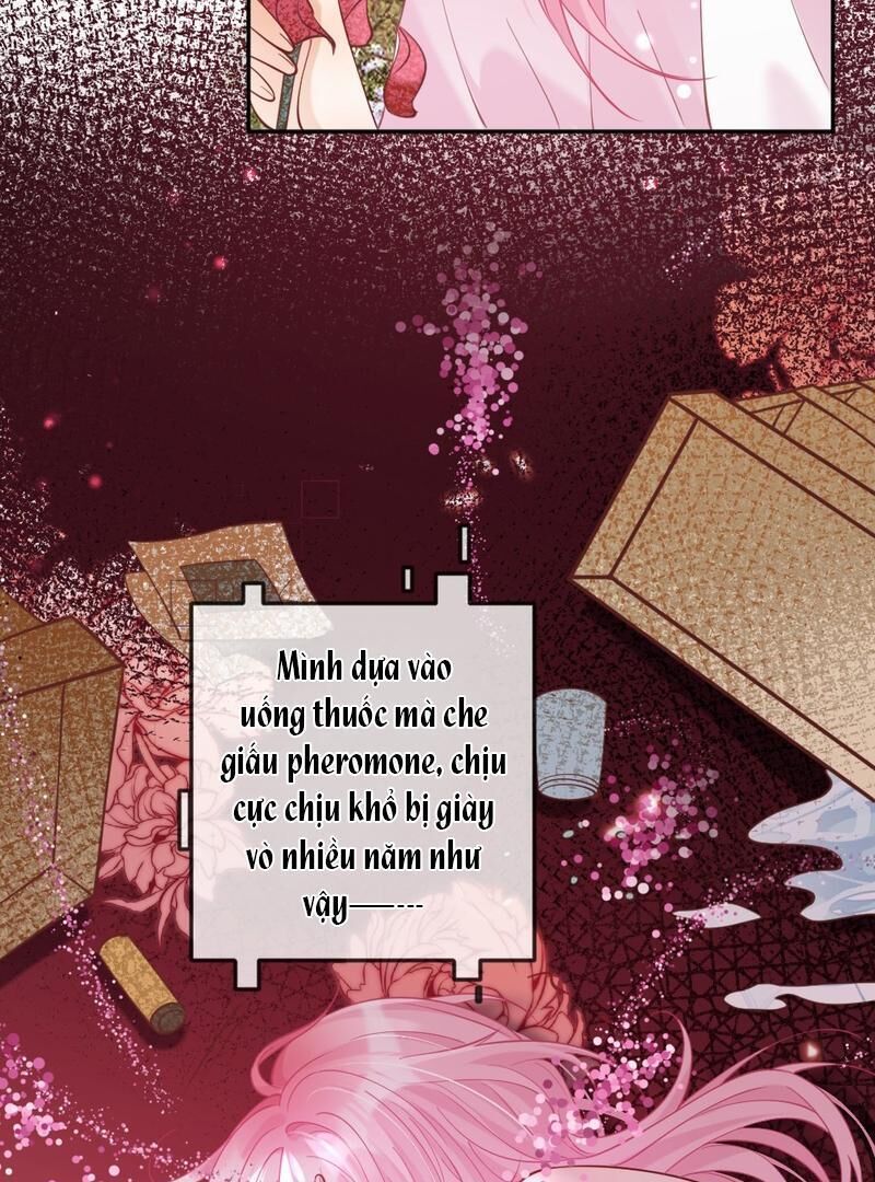 Nữ Chính Hắc Nguyệt Quang Luôn Muốn Đánh Dấu Tôi Chapter 8 - Trang 2