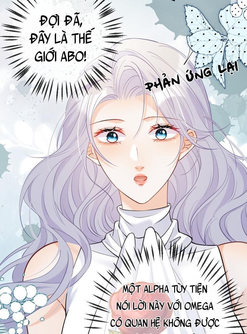 Nữ Chính Hắc Nguyệt Quang Luôn Muốn Đánh Dấu Tôi Chapter 8 - Trang 2