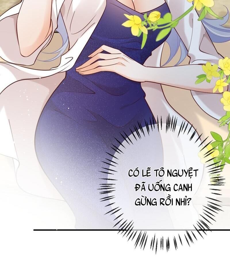 Nữ Chính Hắc Nguyệt Quang Luôn Muốn Đánh Dấu Tôi Chapter 8 - Trang 2