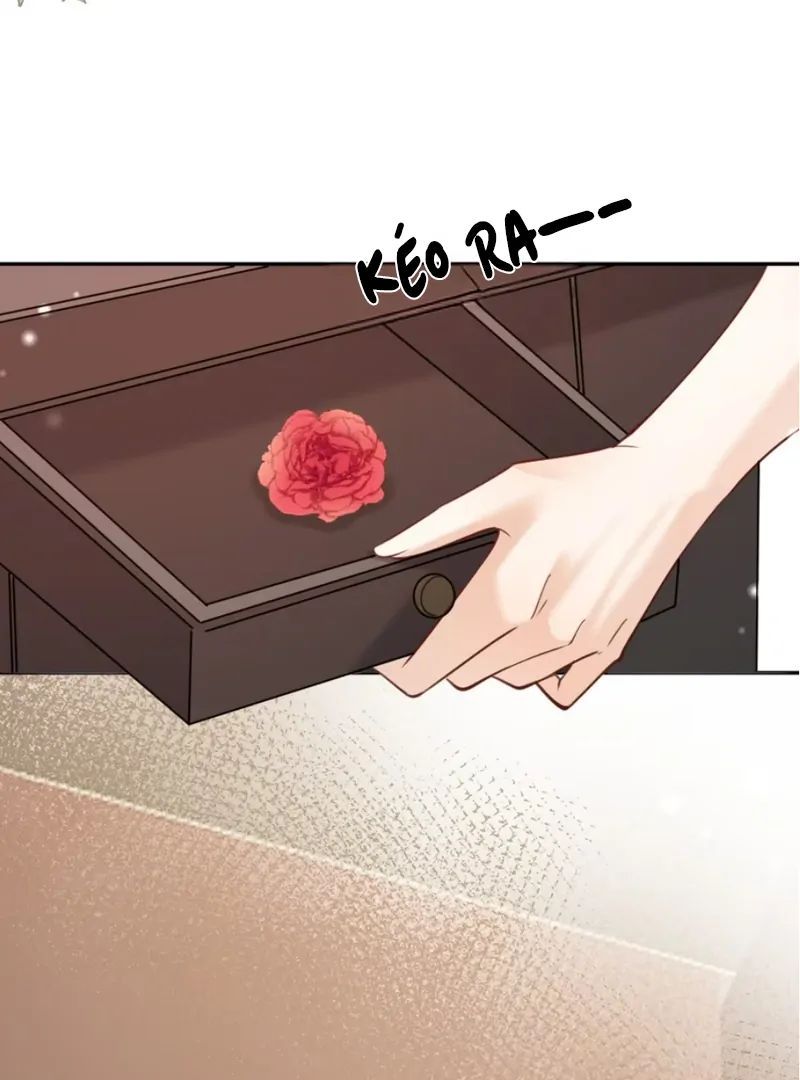 Nữ Chính Hắc Nguyệt Quang Luôn Muốn Đánh Dấu Tôi Chapter 9 - Trang 2