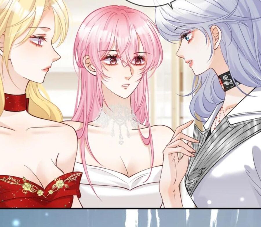 Nữ Chính Hắc Nguyệt Quang Luôn Muốn Đánh Dấu Tôi Chapter 12 - Trang 2