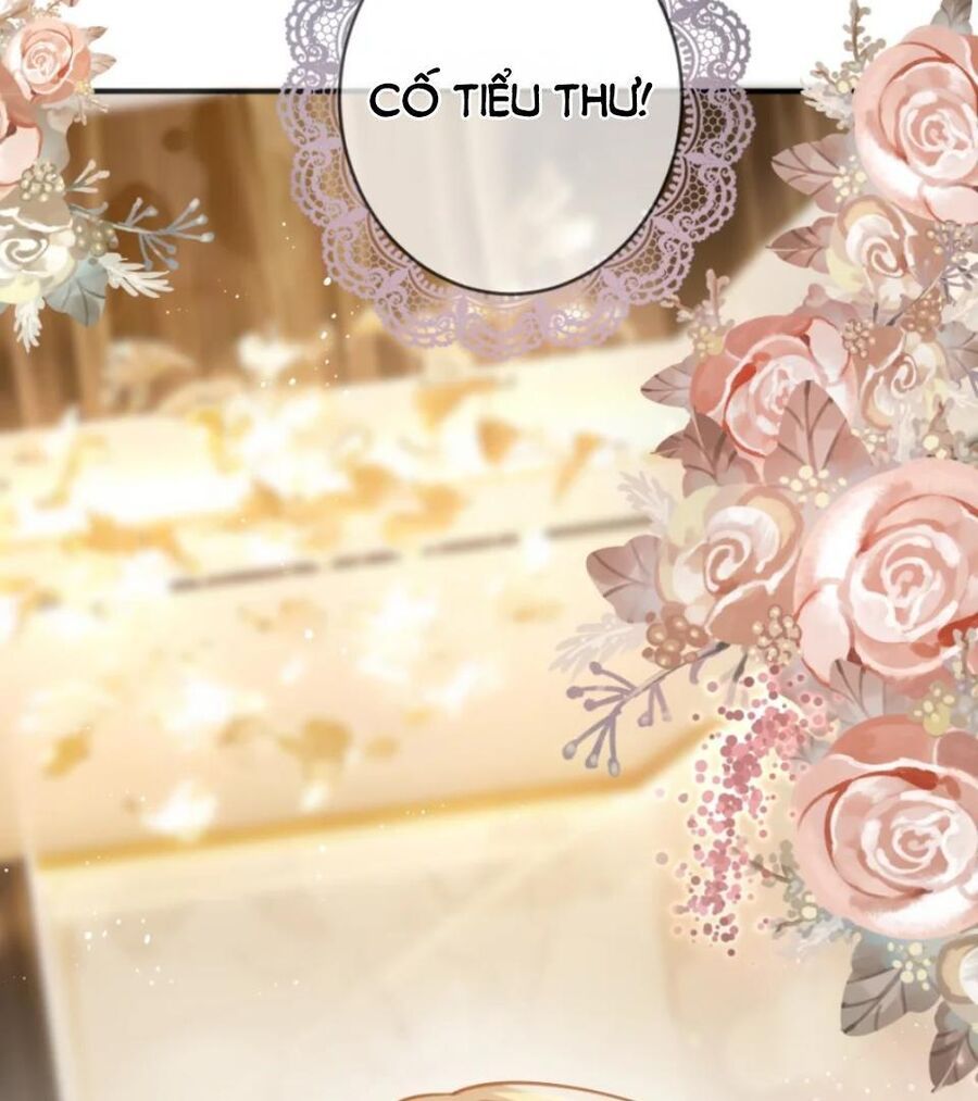 Nữ Chính Hắc Nguyệt Quang Luôn Muốn Đánh Dấu Tôi Chapter 12 - Trang 2