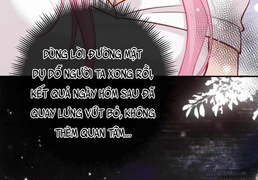 Nữ Chính Hắc Nguyệt Quang Luôn Muốn Đánh Dấu Tôi Chapter 13 - Trang 2