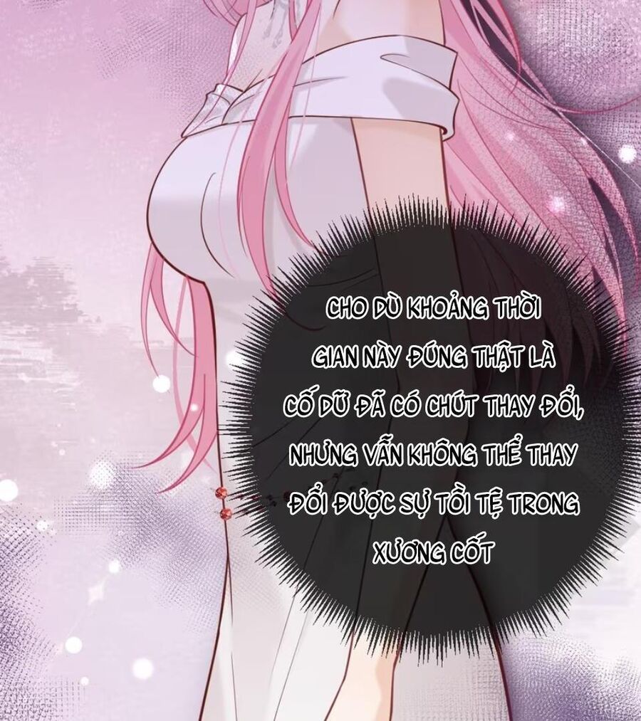 Nữ Chính Hắc Nguyệt Quang Luôn Muốn Đánh Dấu Tôi Chapter 13 - Trang 2