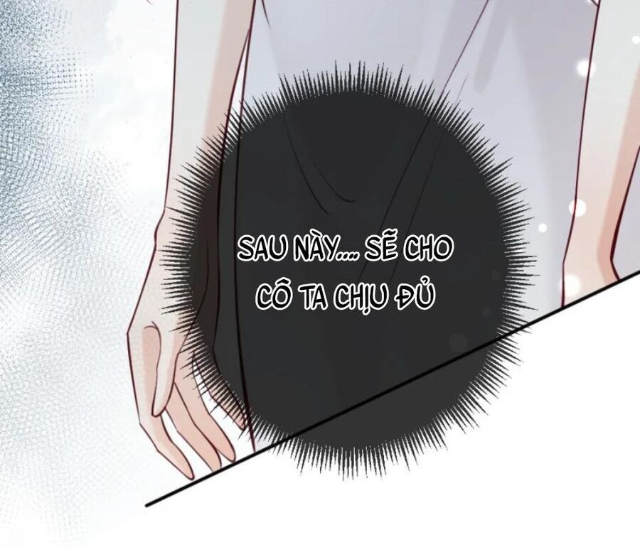 Nữ Chính Hắc Nguyệt Quang Luôn Muốn Đánh Dấu Tôi Chapter 13 - Trang 2