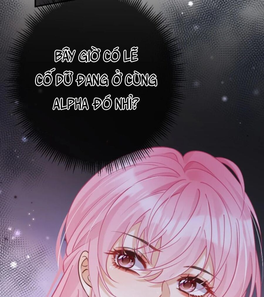 Nữ Chính Hắc Nguyệt Quang Luôn Muốn Đánh Dấu Tôi Chapter 13 - Trang 2