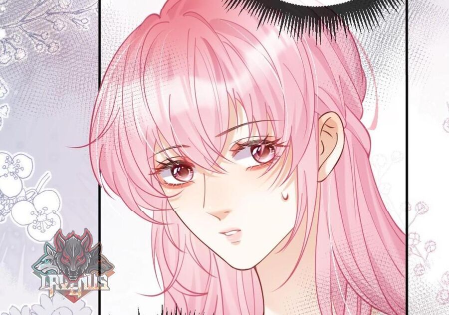 Nữ Chính Hắc Nguyệt Quang Luôn Muốn Đánh Dấu Tôi Chapter 14 - Trang 2