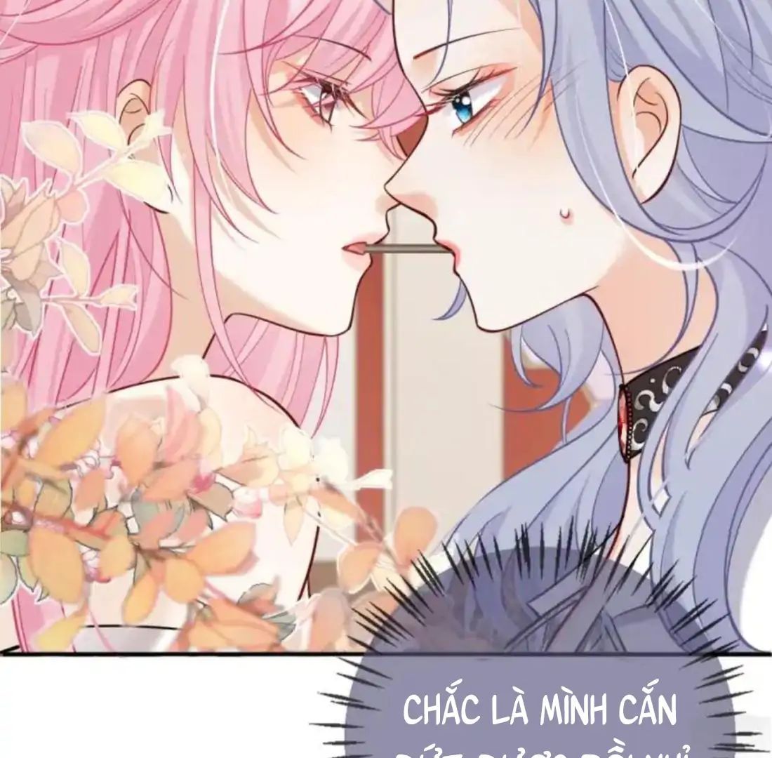 Nữ Chính Hắc Nguyệt Quang Luôn Muốn Đánh Dấu Tôi Chapter 16 - Trang 2