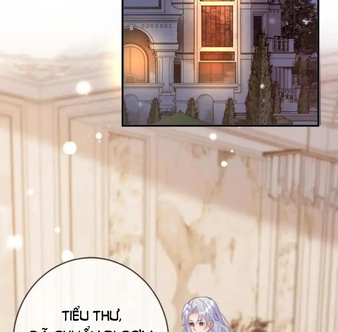 Nữ Chính Hắc Nguyệt Quang Luôn Muốn Đánh Dấu Tôi Chapter 16 - Trang 2