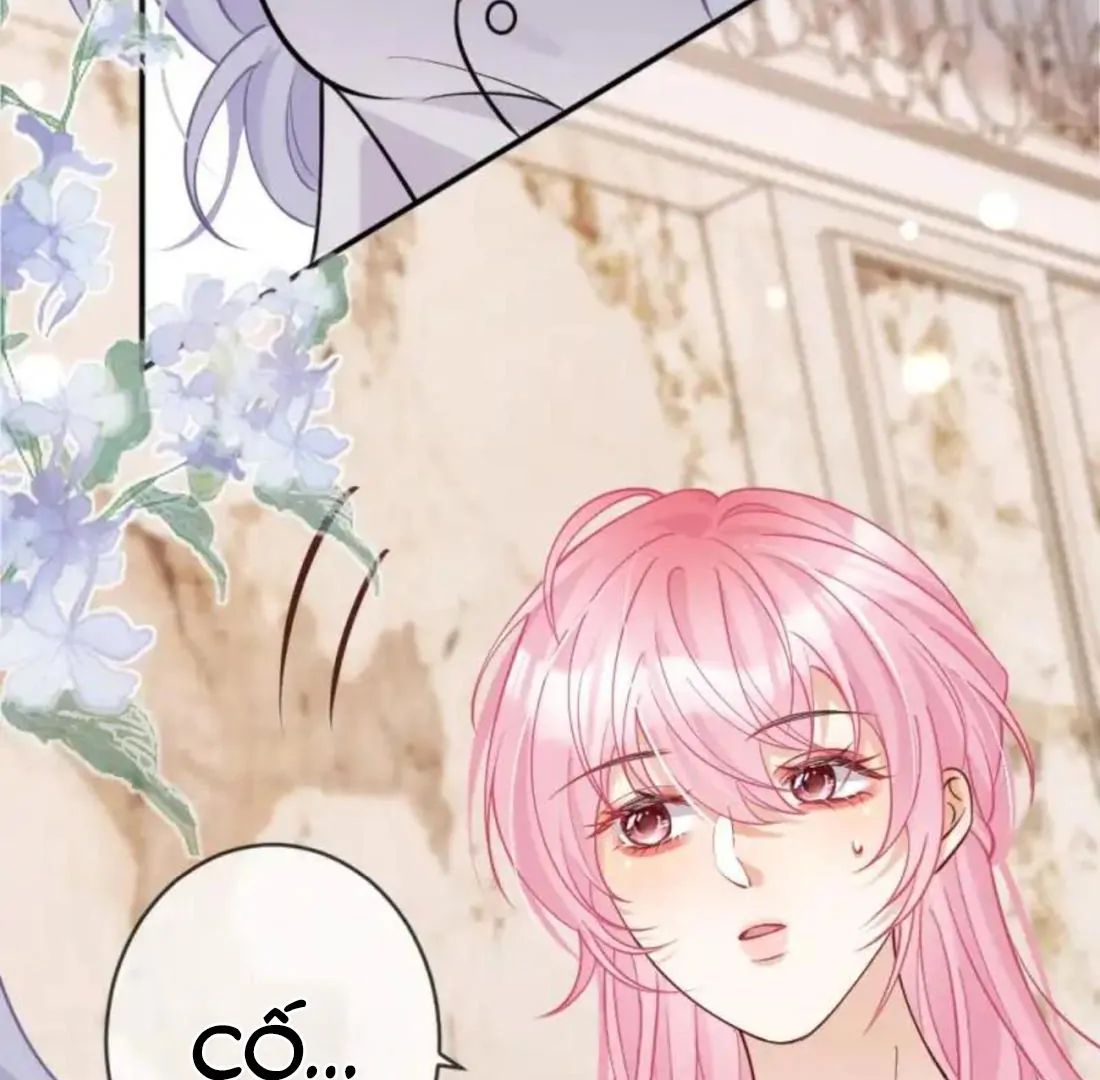 Nữ Chính Hắc Nguyệt Quang Luôn Muốn Đánh Dấu Tôi Chapter 16 - Trang 2