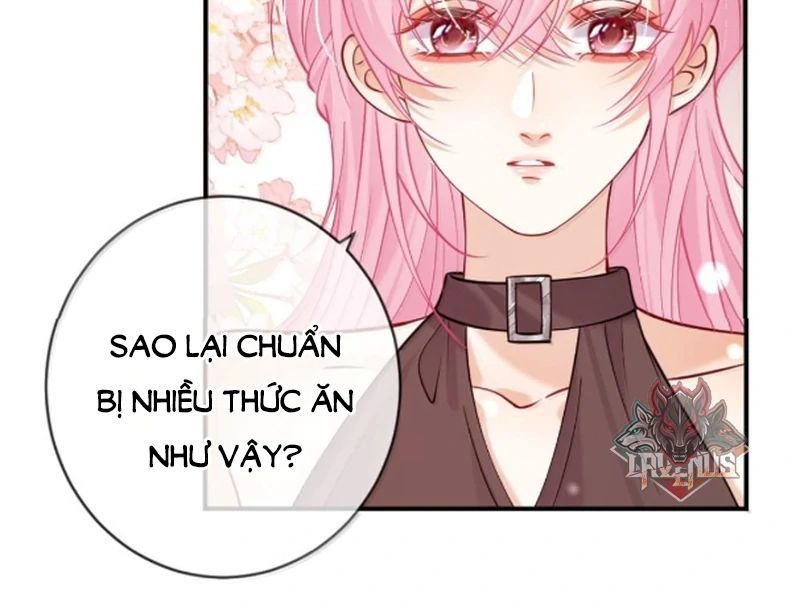 Nữ Chính Hắc Nguyệt Quang Luôn Muốn Đánh Dấu Tôi Chapter 21 - Trang 2