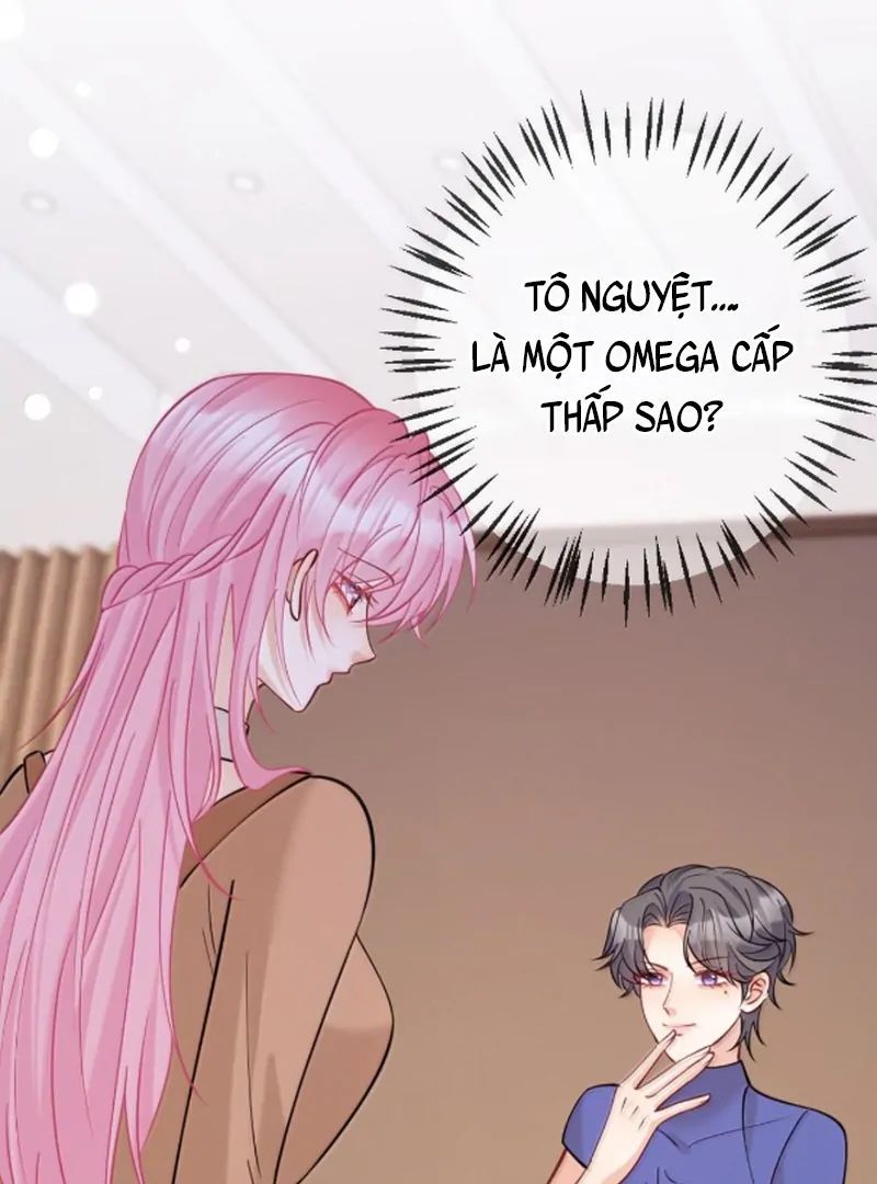 Nữ Chính Hắc Nguyệt Quang Luôn Muốn Đánh Dấu Tôi Chapter 24 - Trang 2