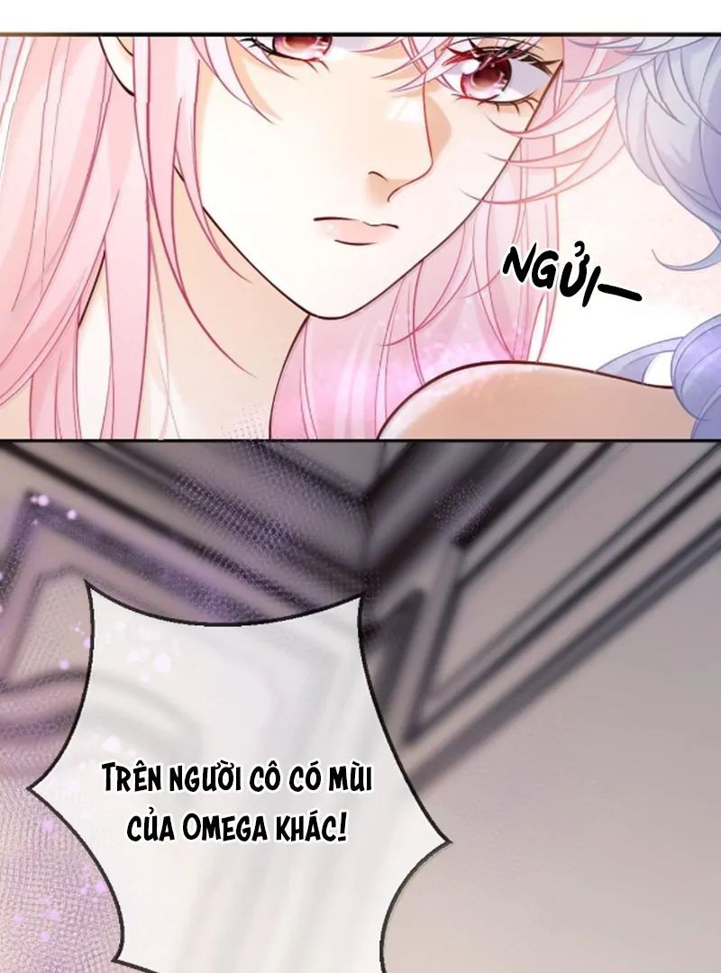 Nữ Chính Hắc Nguyệt Quang Luôn Muốn Đánh Dấu Tôi Chapter 25 - Trang 2