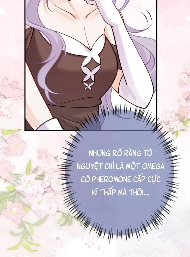 Nữ Chính Hắc Nguyệt Quang Luôn Muốn Đánh Dấu Tôi Chapter 25 - Trang 2