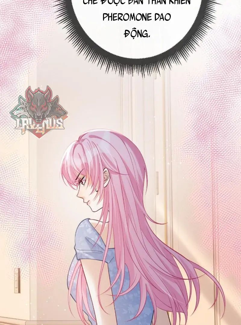 Nữ Chính Hắc Nguyệt Quang Luôn Muốn Đánh Dấu Tôi Chapter 28 - Trang 2