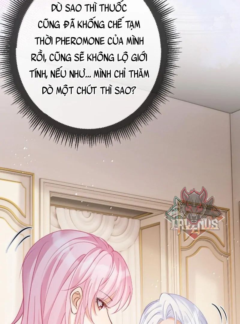 Nữ Chính Hắc Nguyệt Quang Luôn Muốn Đánh Dấu Tôi Chapter 28 - Trang 2