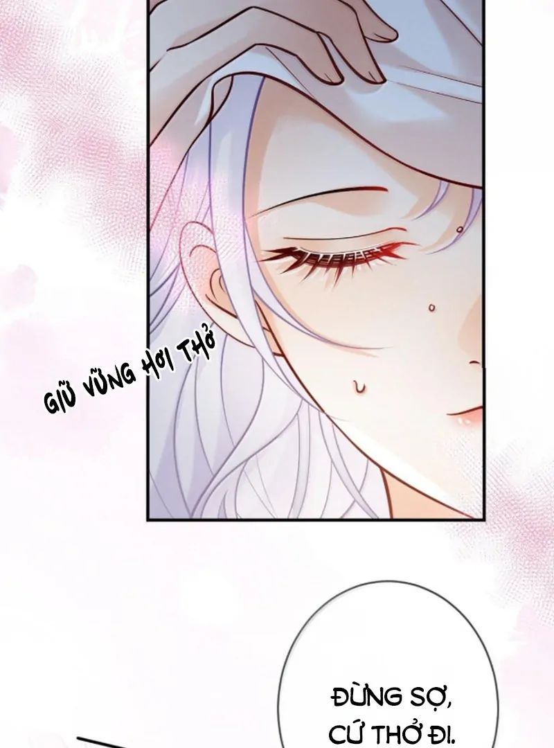 Nữ Chính Hắc Nguyệt Quang Luôn Muốn Đánh Dấu Tôi Chapter 28 - Trang 2