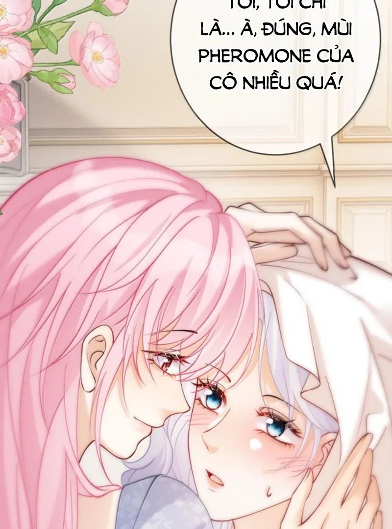 Nữ Chính Hắc Nguyệt Quang Luôn Muốn Đánh Dấu Tôi Chapter 28 - Trang 2